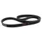 Serpentine Belt