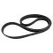 Serpentine Belt