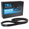 Serpentine Belt
