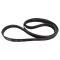 Serpentine Belt