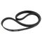 Serpentine Belt