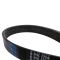 Serpentine Belt