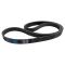 Serpentine Belt