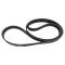 Serpentine Belt