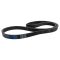 Serpentine Belt
