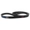 Serpentine Belt