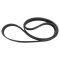 Serpentine Belt