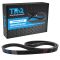 Serpentine Belt