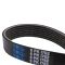Serpentine Belt
