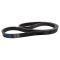 Serpentine Belt