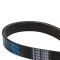 Serpentine Belt