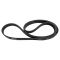 Serpentine Belt