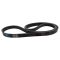 Serpentine Belt