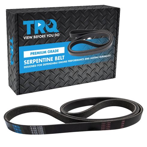 Serpentine Belt