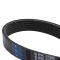 Serpentine Belt