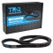 Serpentine Belt