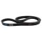 Serpentine Belt