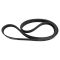 Serpentine Belt