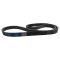Serpentine Belt