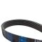 Serpentine Belt