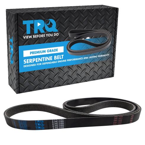 Serpentine Belt