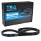Serpentine Belt
