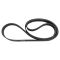 Serpentine Belt