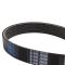 Serpentine Belt