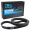 Serpentine Belt