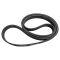 Serpentine Belt