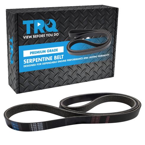 Serpentine Belt