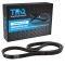 Serpentine Belt