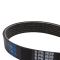 Serpentine Belt