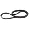 Serpentine Belt