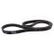 Serpentine Belt