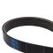 Serpentine Belt