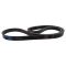 Serpentine Belt