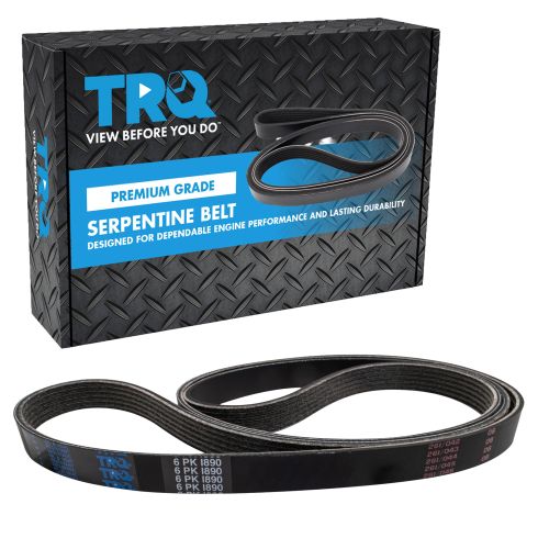 Serpentine Belt