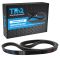 Serpentine Belt
