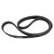 Serpentine Belt