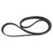 Serpentine Belt