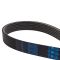 Serpentine Belt