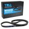 Serpentine Belt