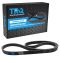 Serpentine Belt