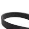 Serpentine Belt