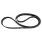 Serpentine Belt