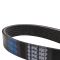 Serpentine Belt
