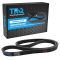 Serpentine Belt
