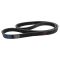 Serpentine Belt