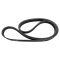 Serpentine Belt